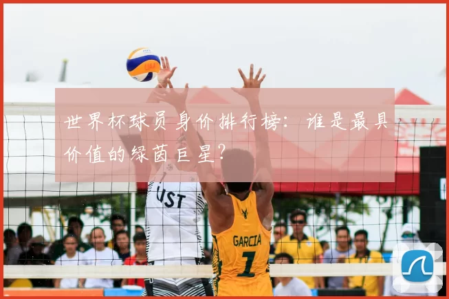 世界杯球员身价排行榜:谁是最具价值的绿茵巨星?