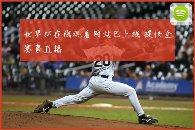 世界杯在线观看网站已上线 提供全赛事直播