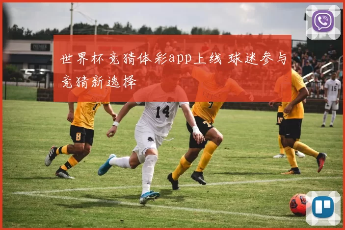 世界杯竞猜体彩app上线 球迷参与竞猜新选择