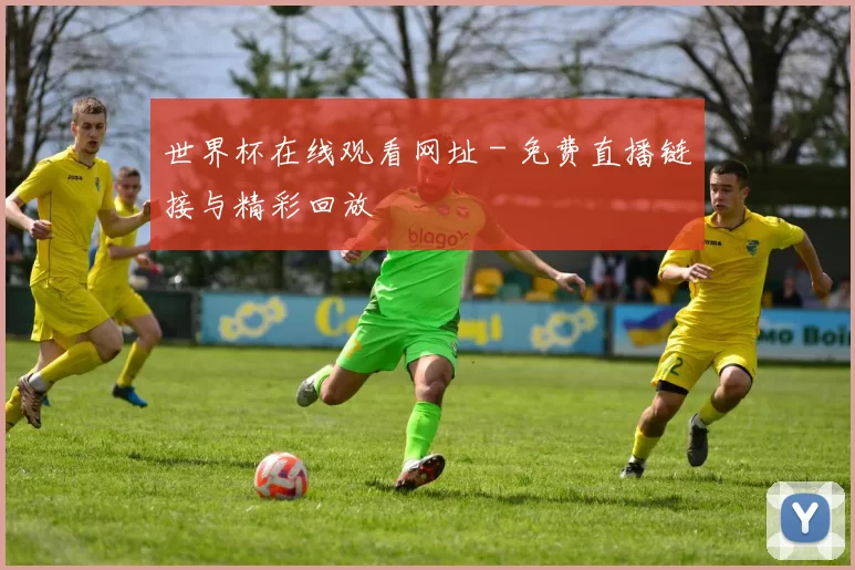 世界杯在线观看网址 - 免费直播链接与精彩回放
