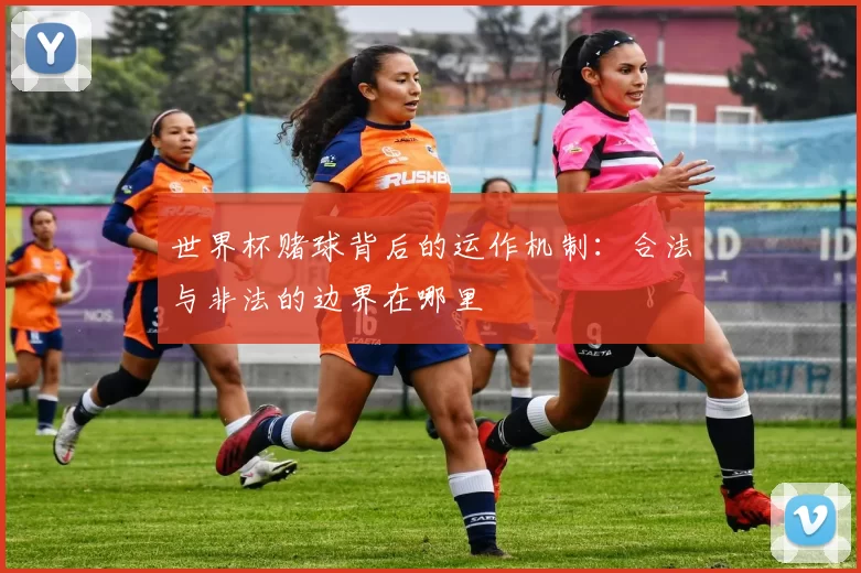 世界杯赌球背后的运作机制:合法与非法的边界在哪里