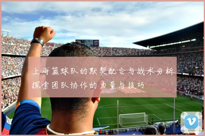 上海篮球队的默契配合与战术分析探索团队协作的力量与技巧