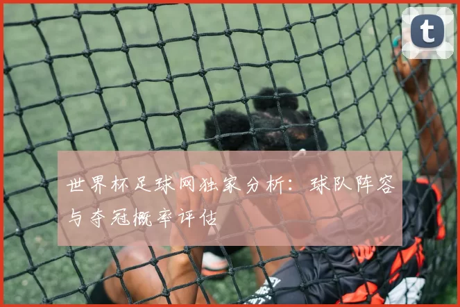世界杯足球网独家分析：球队阵容与夺冠概率评估