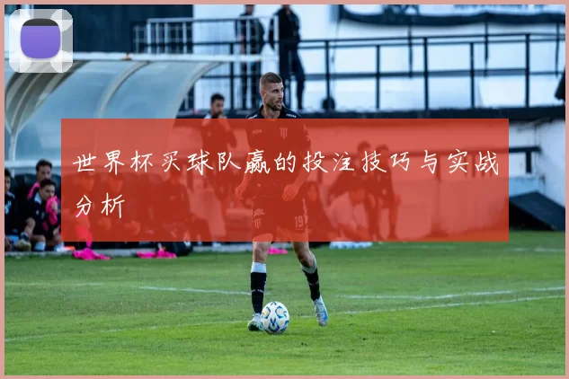 世界杯买球队赢的投注技巧与实战分析